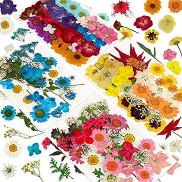 Drying and Preserving Flowers for Resin