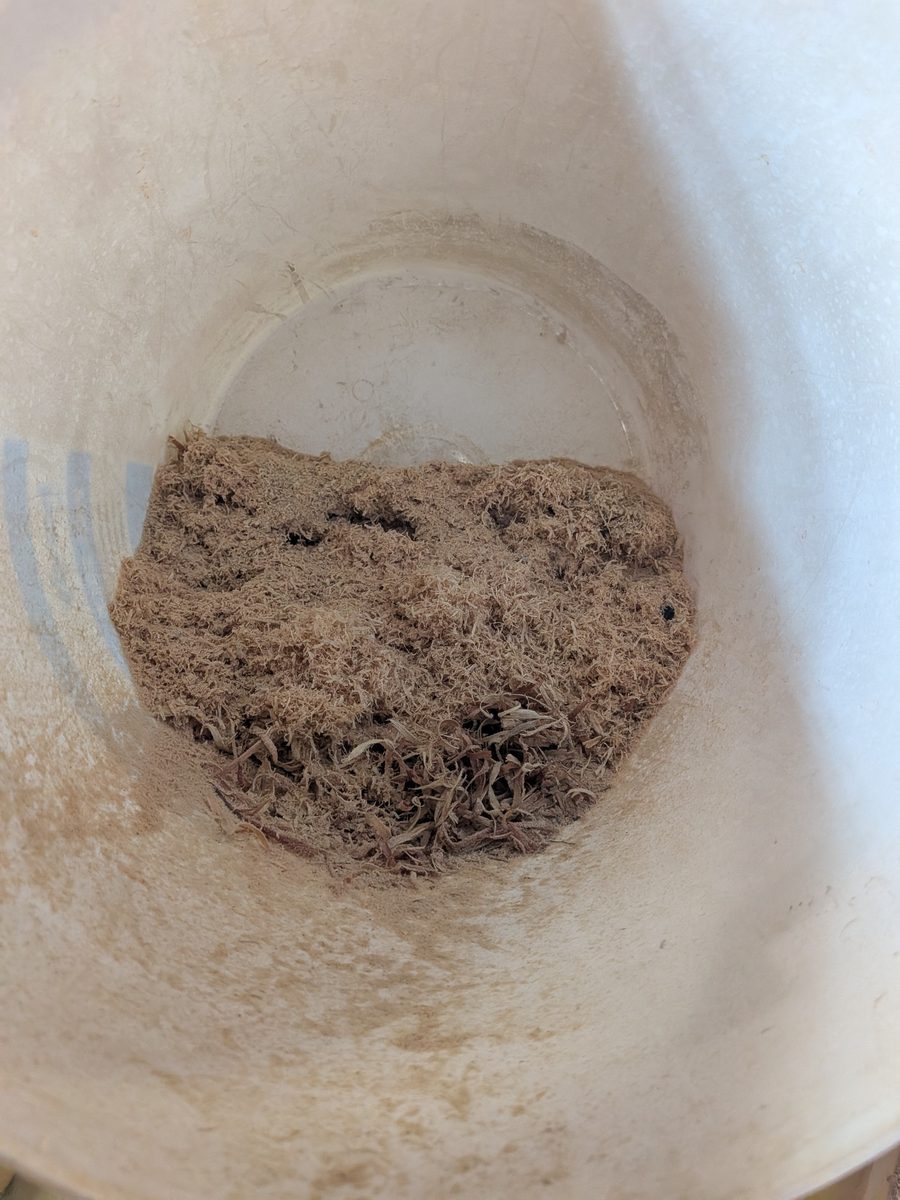 Fine sanding dust and wood shavings collected in the bucket under the cyclone separator